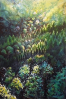 Forêt 60/40 cm