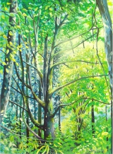 l‘arbre de la forêt 60/80 cm