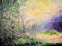 Sous-bois 60/80cm